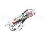 00-976534-00060 Vulcan Hart Harness Main, Vccg Ir 60 Inch