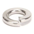 00-WL006-23 Compatible Hobart Washer, Lock, S/S, 5/16" Id