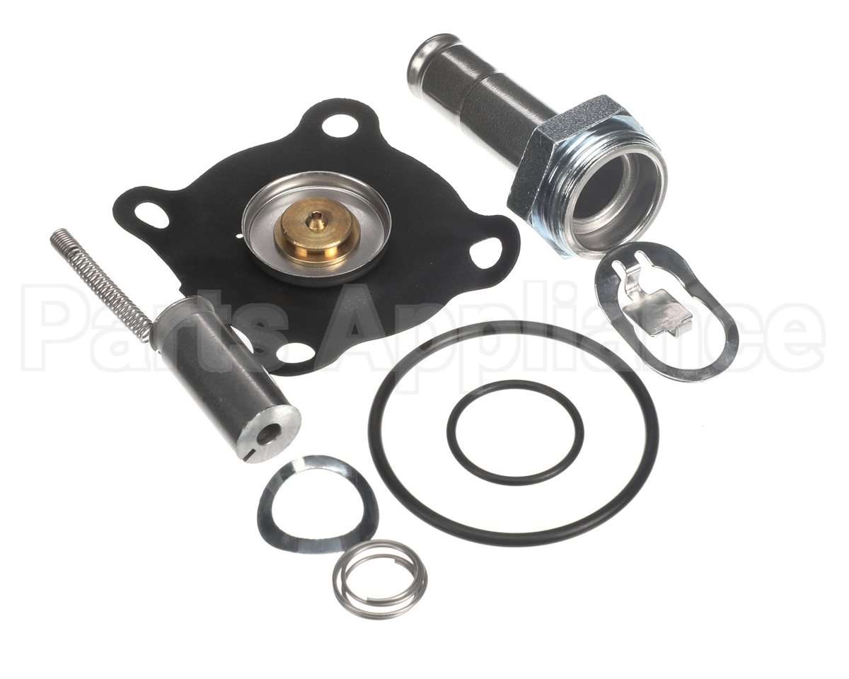 000012039 Gaylord 34 Valve Repair Kit
