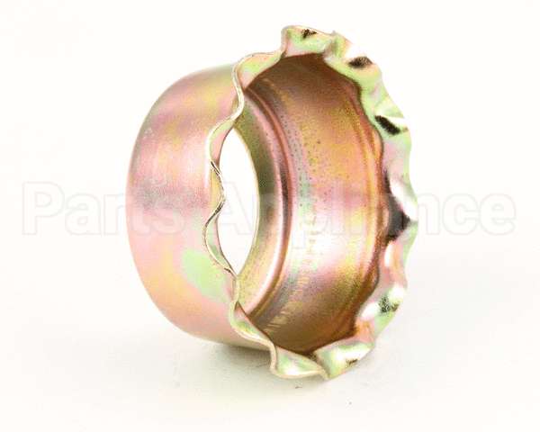 001000-45 T&S Brass Rosette Washer (Single-Pack)