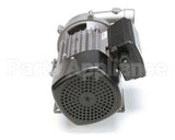 00200.70 Cma Ss Pump 220V/60Hz Motor Assembly 1