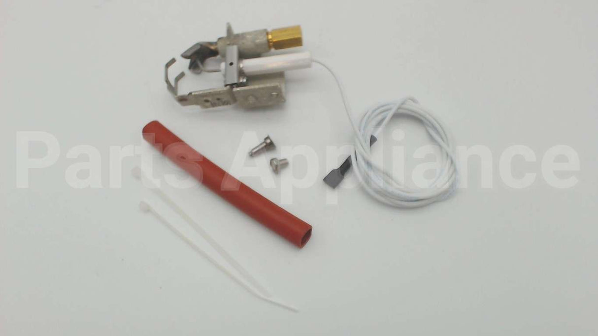 002003F Raypak Spark Pilot Assembly Nat/Lp