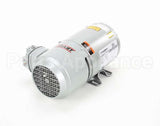 00206105 Multiplex Air Pump Pump/Motor Assembly 120V6