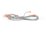 00213831 Multiplex Harness Water And Soda Sw