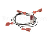 00218783 Multiplex Harness Watersoda Switch