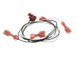 00218783 Multiplex Harness Watersoda Switch
