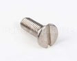 00300021 Nuova Simonelli Shower Screw (M6X16 Tstc)