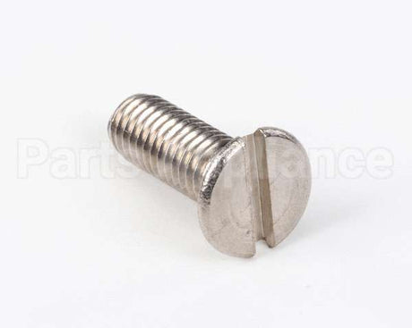 00300021 Nuova Simonelli Shower Screw (M6X16 Tstc)