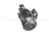 005617345 Jbt Gear Motor 230V/460V 50Hz/60Hz