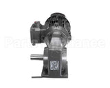 005617345 Jbt Gear Motor 230V/460V 50Hz/60Hz