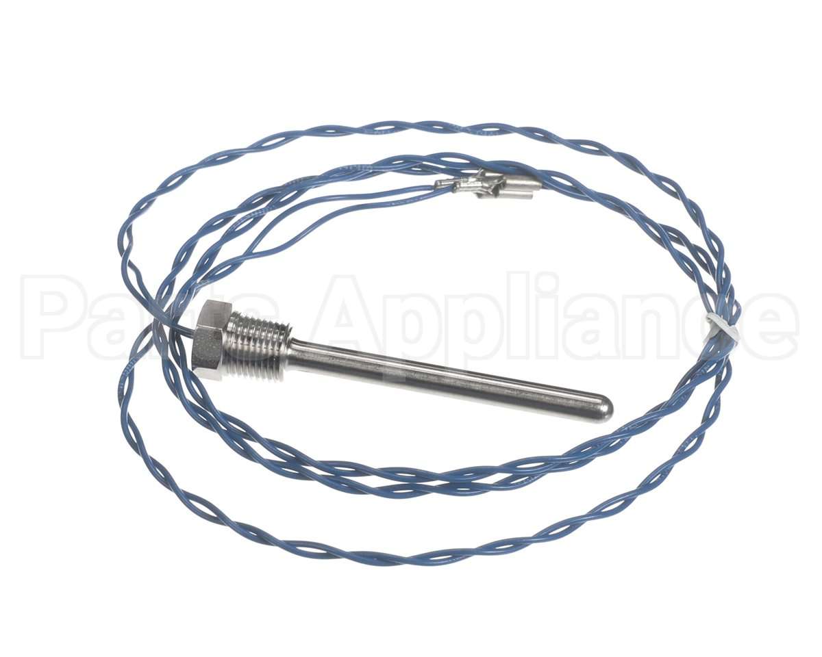 006532F Raypak Probe