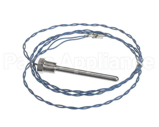 006532F Raypak Probe