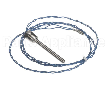 006532F Raypak Probe