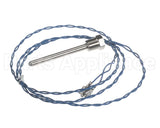 006532F Raypak Probe