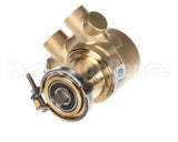 00702917 Multiplex Pump 070 Gph Brass W/170