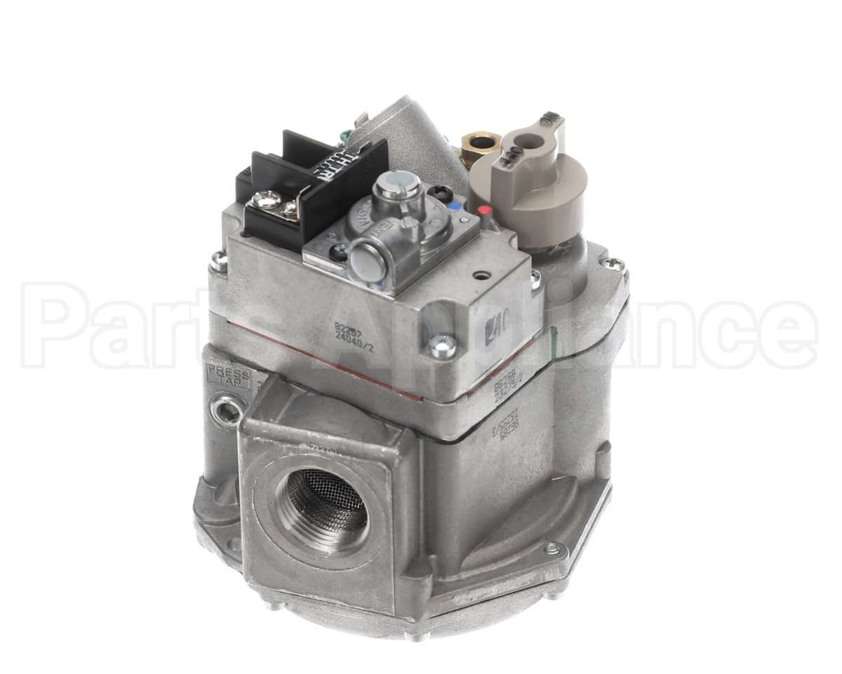 007666F Raypak Gas Valve