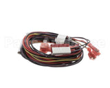 00975243 Follett Wiring, Water Sensor Assembly, Saturn