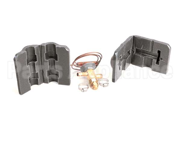 00977579 Follett Valve, Expansion Thermal
