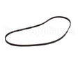 01-402375-00138 Berkel Belt, Poly-V 4 X 40