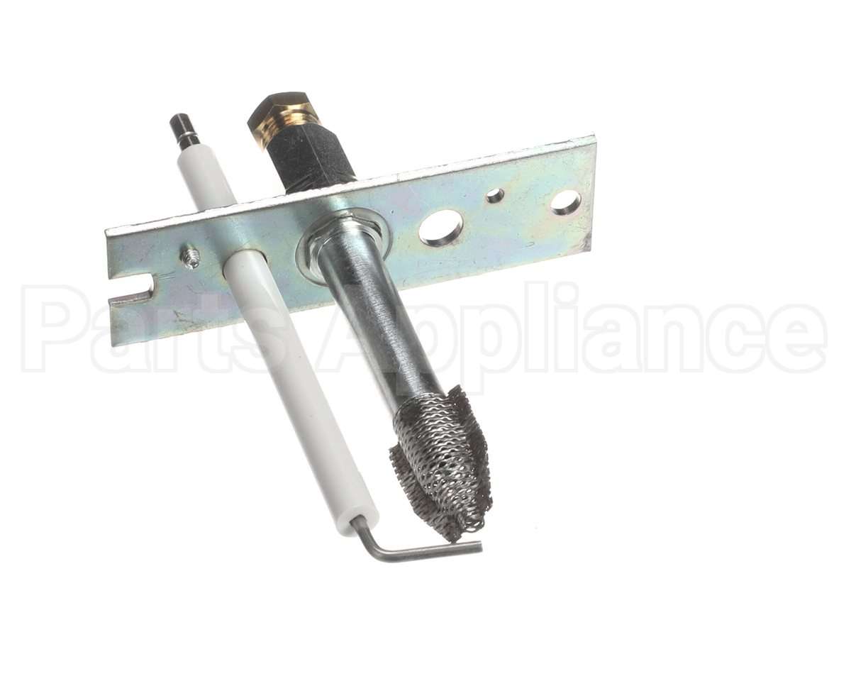 010232F Raypak Pilot