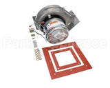 012445F Raypak Combustion Blower Assy