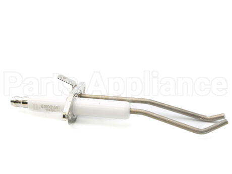 013166F Raypak Spark Ignitor