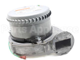 013195F Raypak Combustion Air Blower Assembly