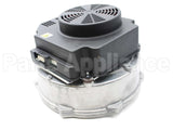 013196F Raypak Combustion Air Blower Assembly