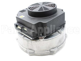 013196F Raypak Combustion Air Blower Assembly