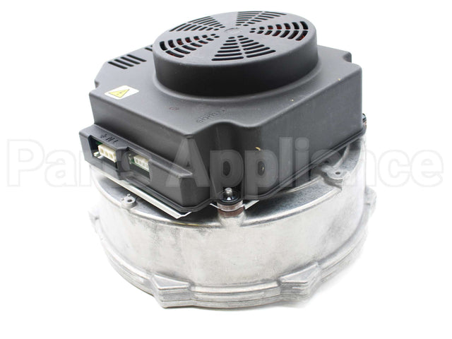 013196F Raypak Combustion Air Blower Assembly