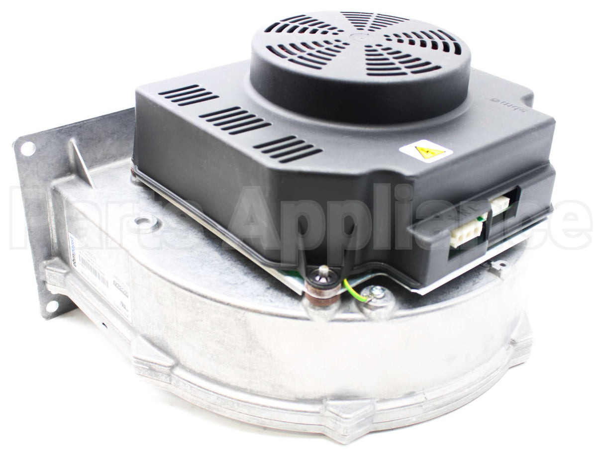 013196F Raypak Combustion Air Blower Assembly