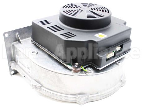 013196F Raypak Combustion Air Blower Assembly