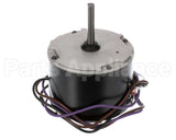 0131M00018PSP Goodman Motor