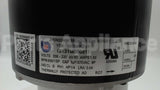 0131M00061SP Amana-Goodman 208-230V1Ph 830Rpm 1Sp Motor