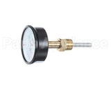 014647F Raypak Tridicator Pressure/Temp Gauge