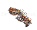 014680F Raypak Wireharness 503200Kit