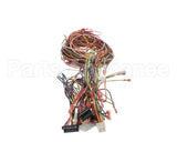 014680F Raypak Wireharness 503200Kit