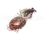 014680F Raypak Wireharness 503200Kit