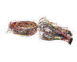 014680F Raypak Wire Harness