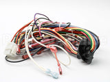 0159F00003 Amana-Goodman Wiring Harness