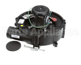0171M00001S Goodman Motor, Inducer, 120 Volt, 60Hz