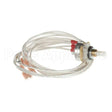 02.01.117.00 Compatible Hatco Pot W/36" Leads Metal Case
