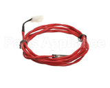 02.01.523.00 Hatco Ptc Probe,60",1K W/Plug