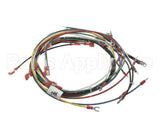 02.18.172.00 Hatco Compact Booster Harness