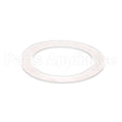 02.GC0019.001 Compatible Grindmaster Rulon Gasket_Spm
