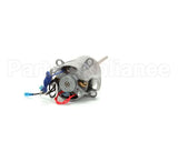 025255 Waring Motor /Dmc 120 Volts