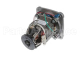 035396 Waring Leili Motor Without Sensor