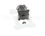 036445 Waring Motor Replacement Kit