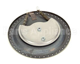03652.0000 Bunn Warmer Assembly, Blk-100W/120V