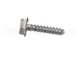 04-0268-SP Lancer Screw,6-19X.625Lg,Plsti,Hhsw/W